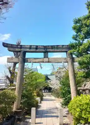鳩森八幡神社(東京都)