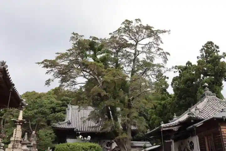 常楽寺のその他建物