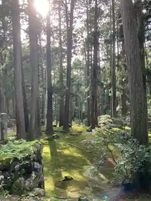 平泉寺白山神社(福井県)