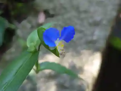 星田妙見宮(大阪府)