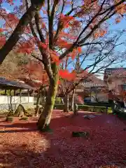 永源寺の自然