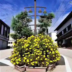  岳温泉神社 の自然