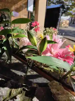 厚別神社(北海道)