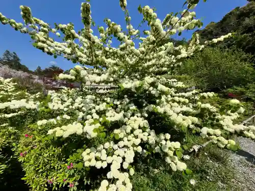 白毫寺熊野権現社(兵庫県)