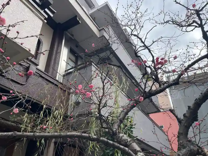 宗慶寺の{uncategorized: "未分類", other: "その他", undefined: "問題あり", building: "その他建物", grave: "お墓", sacred_gate: "鳥居", guardian: "狛犬", statue: "像", buddha: "仏像", history: "歴史", nature: "自然", garden: "庭園", animal: "動物", pagoda: "塔", temizu: "手水舎", mountain_gate: "山門・神門", sanctuary: "本殿・本堂", subordinate: "末社・摂社", art: "芸術", scenery: "景色", jizo: "地蔵", ema: "絵馬", goshuin: "御朱印", omikuji: "おみくじ", items: "授与品その他", amulet: "お守り", goshuincho: "御朱印帳", eats: "食事", festival: "お祭り", votive_dance: "神楽", shichigosan: "七五三参", wedding: "結婚式", experience: "体験その他", initially: "初詣", around: "周辺", anti_infection: "感染症対策"}