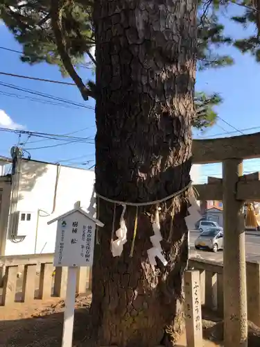 四所神社の自然