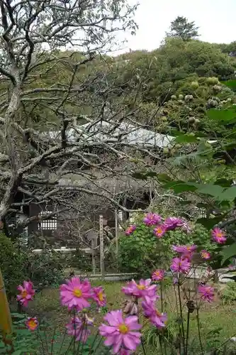 瑞泉寺の庭園