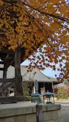 光明寺（粟生光明寺）(京都府)