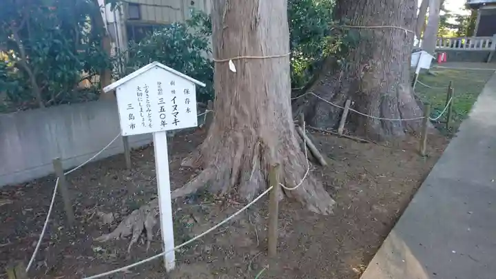 神明宮(御園)の自然