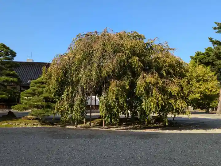 富山縣護國神社の自然