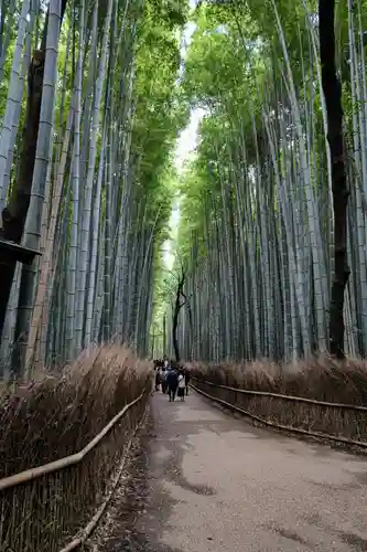 野宮神社(京都府)