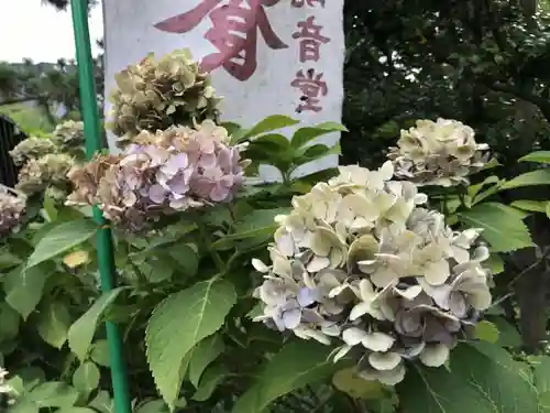 寛永寺(根本中堂)の自然