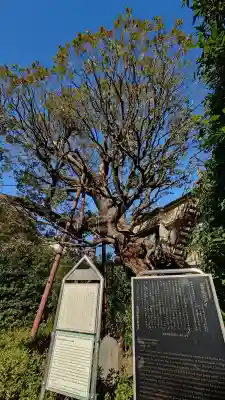 延命院の{uncategorized: "未分類", other: "その他", undefined: "問題あり", building: "その他建物", grave: "お墓", sacred_gate: "鳥居", guardian: "狛犬", statue: "像", buddha: "仏像", history: "歴史", nature: "自然", garden: "庭園", animal: "動物", pagoda: "塔", temizu: "手水舎", mountain_gate: "山門・神門", sanctuary: "本殿・本堂", subordinate: "末社・摂社", art: "芸術", scenery: "景色", jizo: "地蔵", ema: "絵馬", goshuin: "御朱印", omikuji: "おみくじ", items: "授与品その他", amulet: "お守り", goshuincho: "御朱印帳", eats: "食事", festival: "お祭り", votive_dance: "神楽", shichigosan: "七五三参", wedding: "結婚式", experience: "体験その他", initially: "初詣", around: "周辺", anti_infection: "感染症対策"}