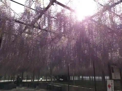 長泉寺の庭園