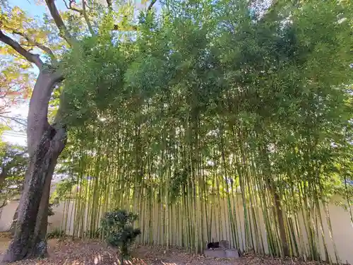 白山姫神社の自然