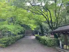 胡宮神社（敏満寺史跡）(滋賀県)