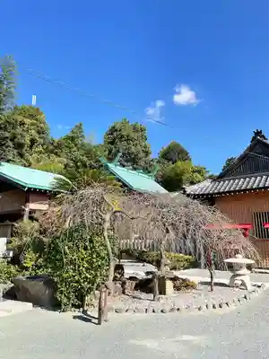 藤ノ木白山神社のその他建物