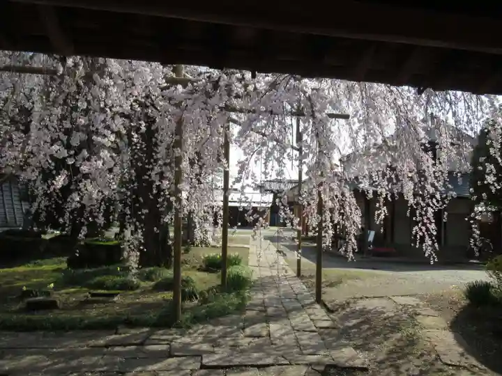 慶龍寺(茨城県)