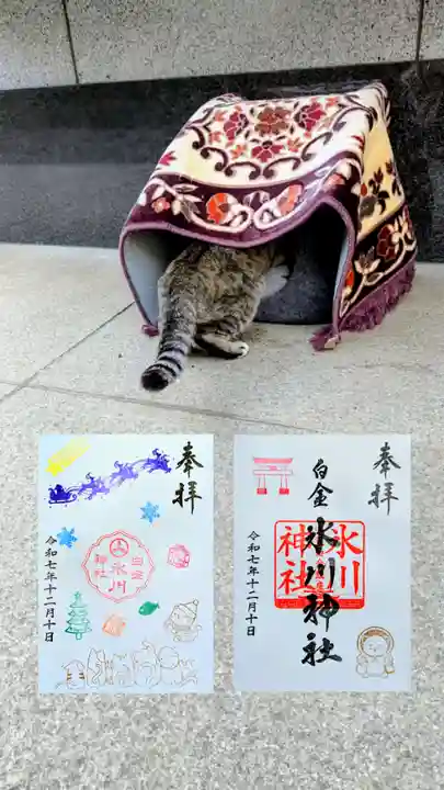 白金氷川神社の御朱印