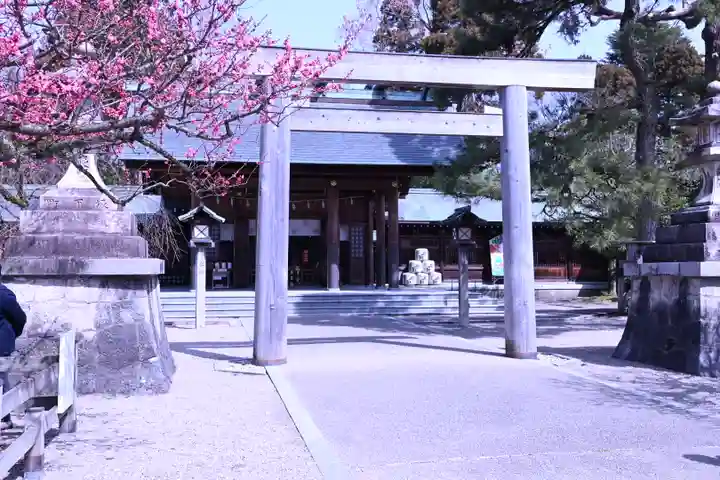 射水神社の鳥居