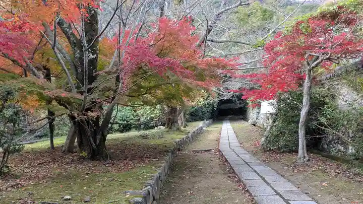 勝持寺(花の寺)(京都府)