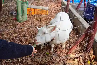 出雲大社相模分祠(神奈川県)