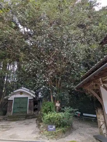 八大神社(京都府)