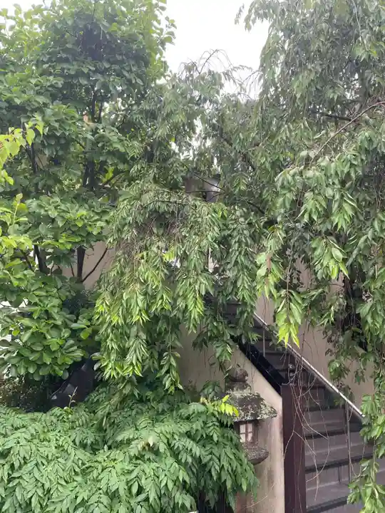 善行院(京都府)