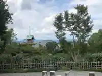 高台寺(高台寿聖禅寺・高臺寺)の景色