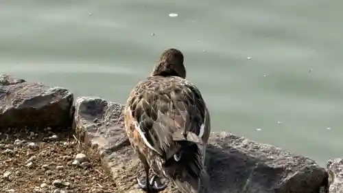 橿原神宮(奈良県)