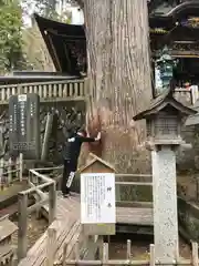 三峯神社の自然