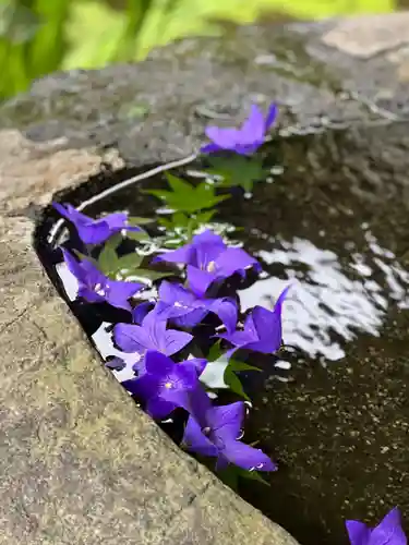 鹿島大神宮の手水