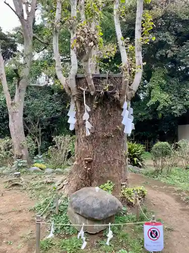 江島神社の庭園