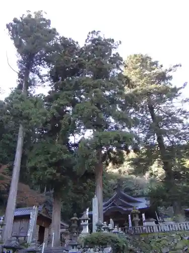 甘南美寺(岐阜県)