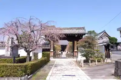 妙顯寺（妙顕寺）(京都府)