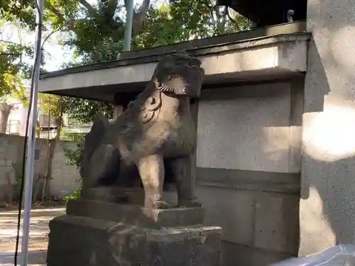 戸越八幡神社の狛犬