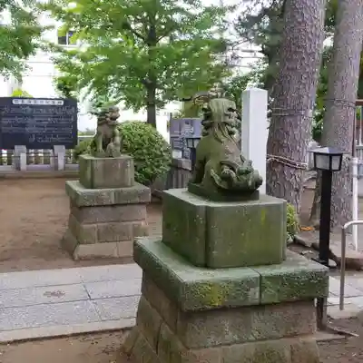 栗原氷川神社の狛犬