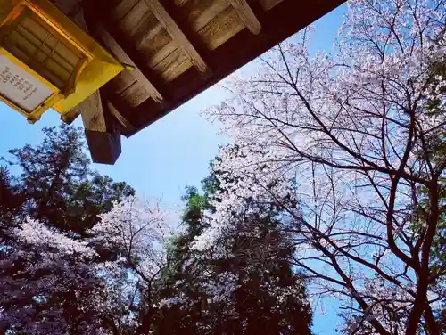 滑川神社 - 仕事と子どもの守り神の自然