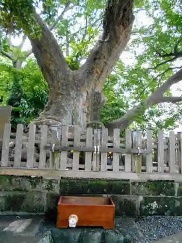 六代山不動院の自然