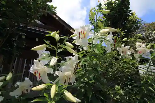 神祇遥拝殿の庭園