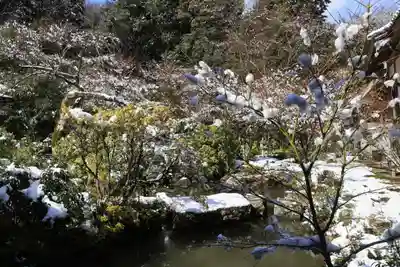 実相院門跡(京都府)