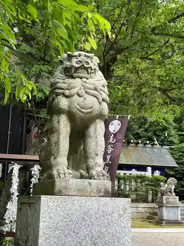 毛谷黒龍神社(福井県)