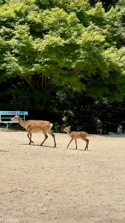 霊火堂(広島県)