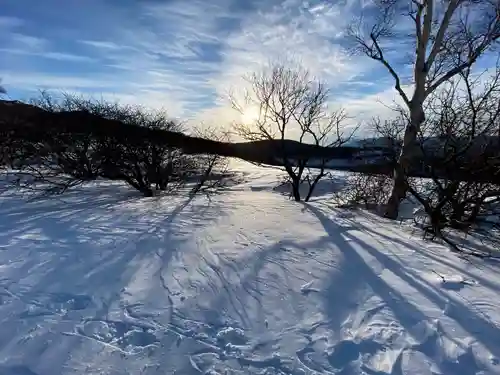 西花童子の景色