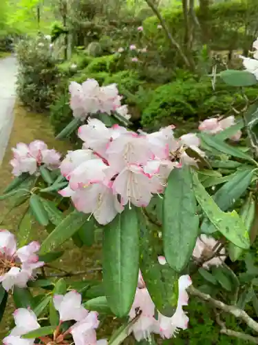 徳善院明王密寺の自然