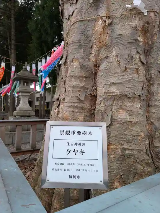 住吉神社(岩手県)