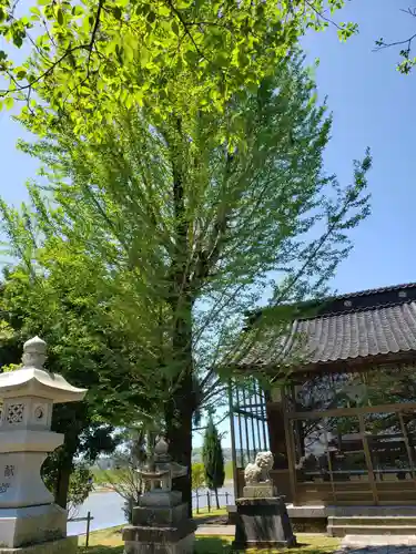 神明社の庭園