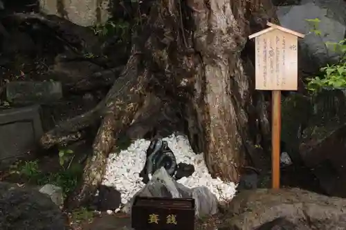 鶴峯八幡宮(千葉県)