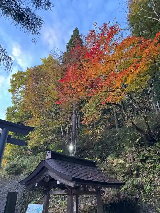 戸隠神社中社(長野県)