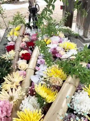 札幌護國神社の手水舎
